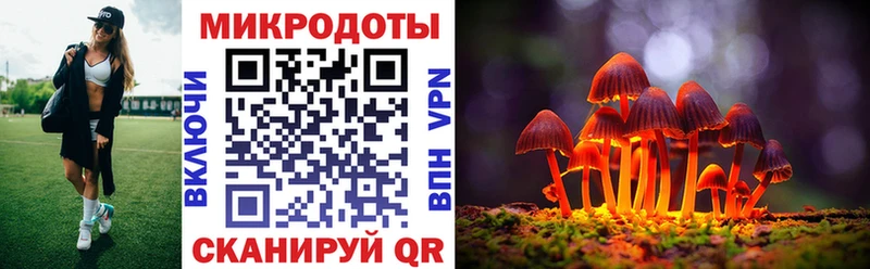 Галлюциногенные грибы MAGIC MUSHROOMS  купить закладку  Могоча 